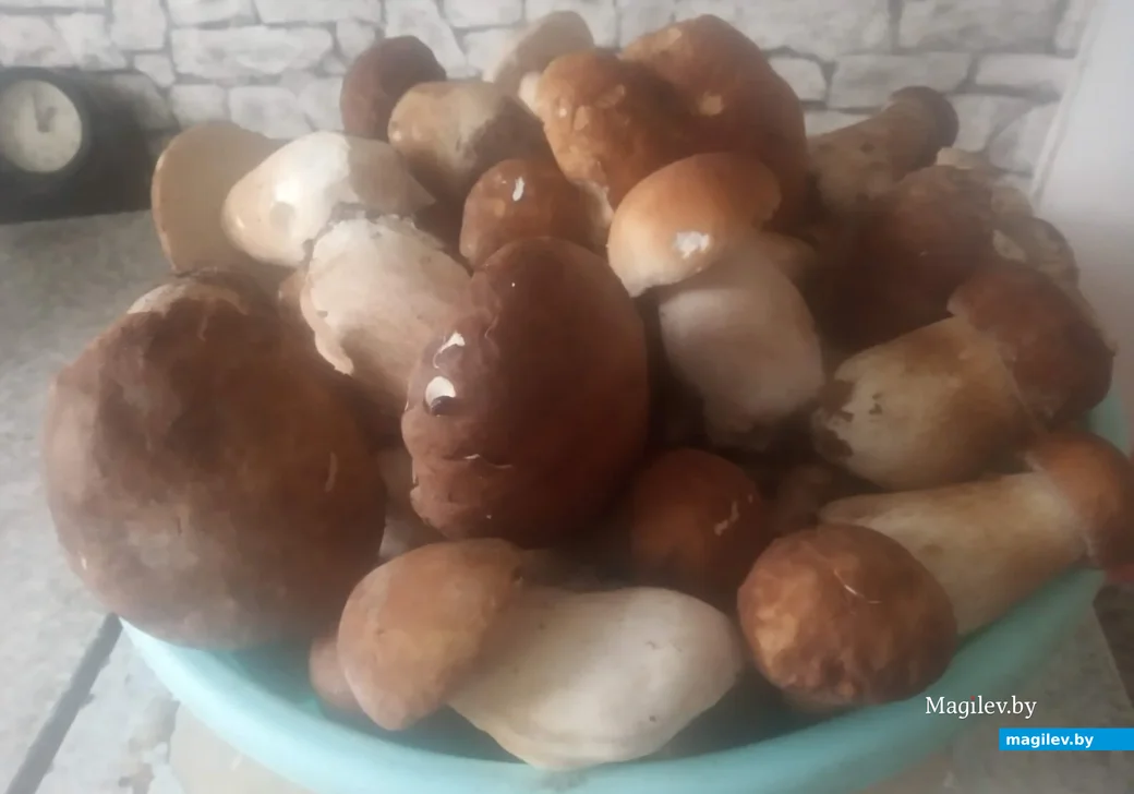 Трофеи Нины Кудрицкой.