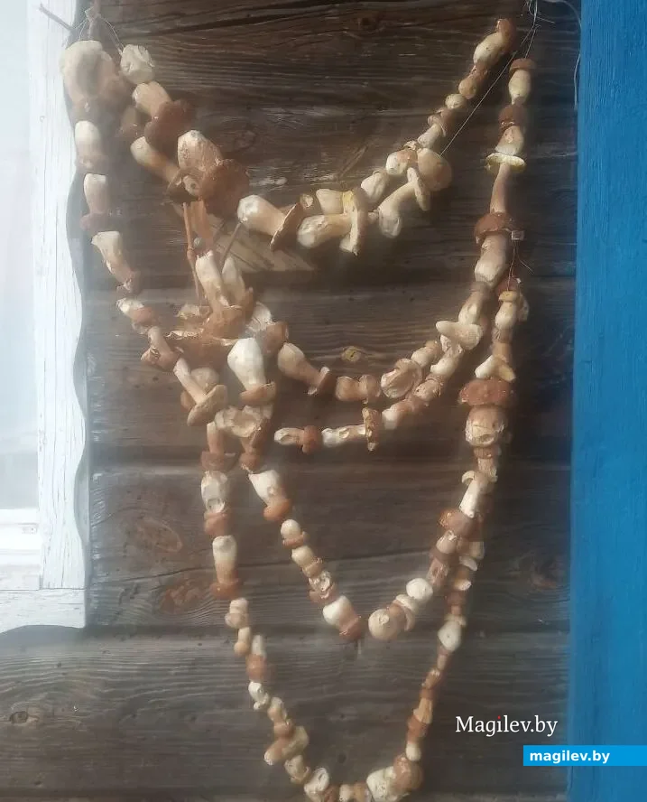 Запасы на зиму Нины Кудрицкой.