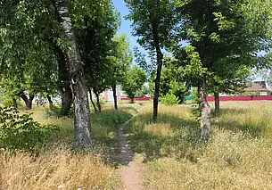 Могилевское Сомали, или парк в поселке Гребенево