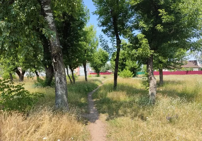 Могилевское Сомали, или парк в поселке Гребенево