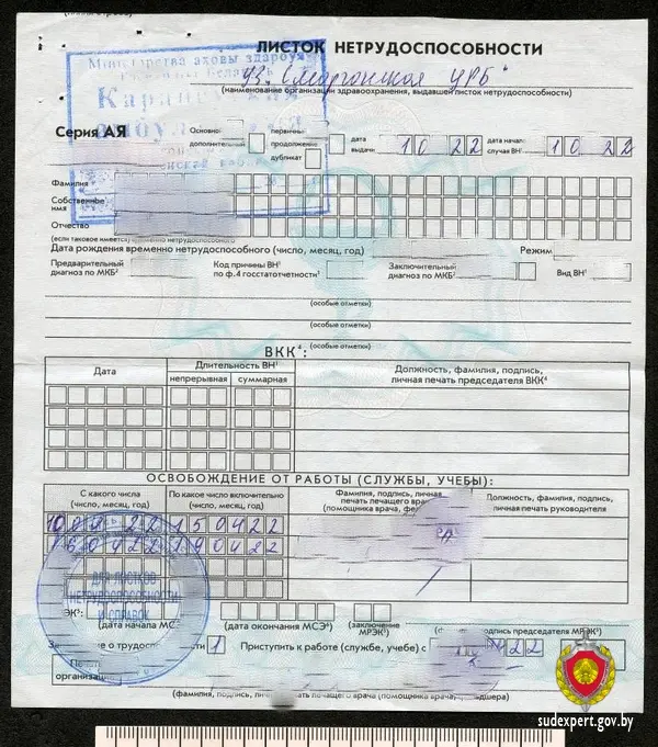 Скриншот документа: sudexpert.gov.by