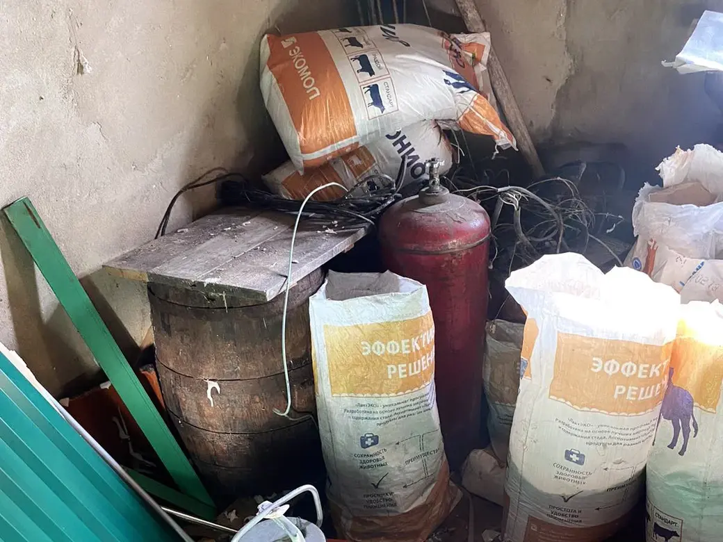 Фото: телеграм-канал УВД Могобисполкома