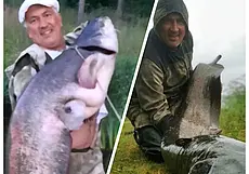 Еще одного сома-великана выловили в Беларуси: на этот раз из Немана