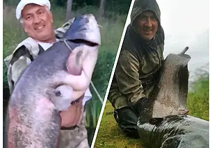 Еще одного сома-великана выловили в Беларуси: на этот раз из Немана