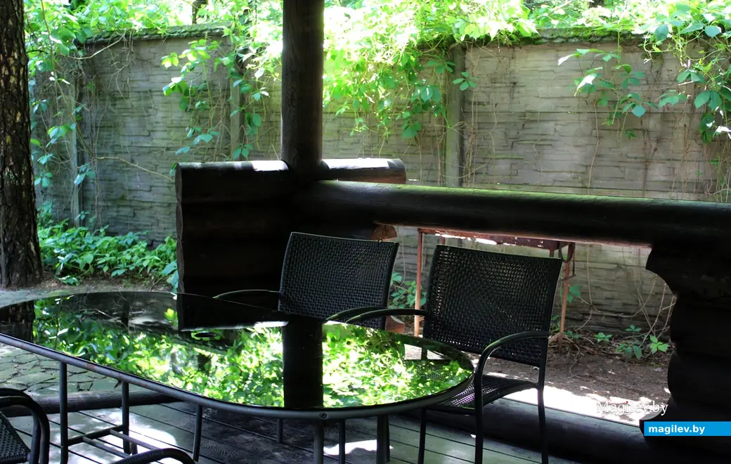 Агроусадьба «Апельсин»: деревня Любуж, хутор «Сосновый бор», д. 14. Июнь 2022 год.