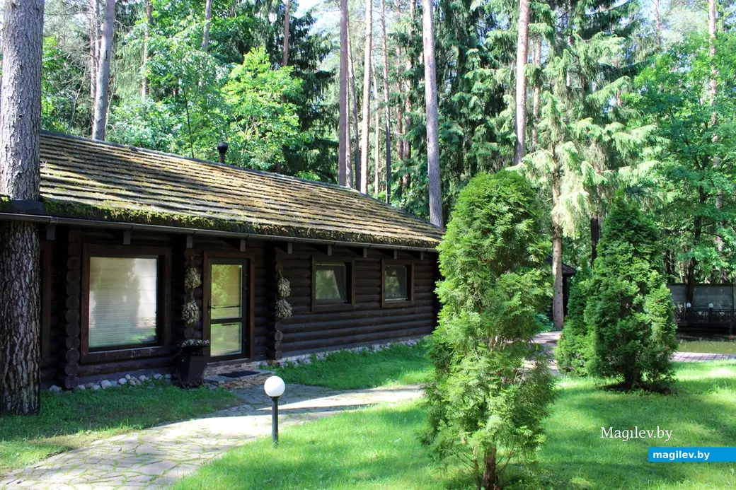 Агроусадьба «Апельсин»: деревня Любуж, хутор «Сосновый бор», д. 14. Июнь 2022 год.