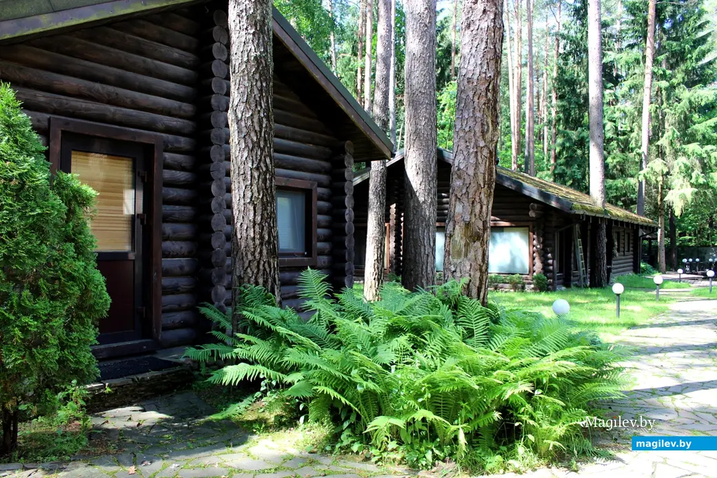 Агроусадьба «Апельсин»: деревня Любуж, хутор «Сосновый бор», д. 14. Июнь 2022 год.