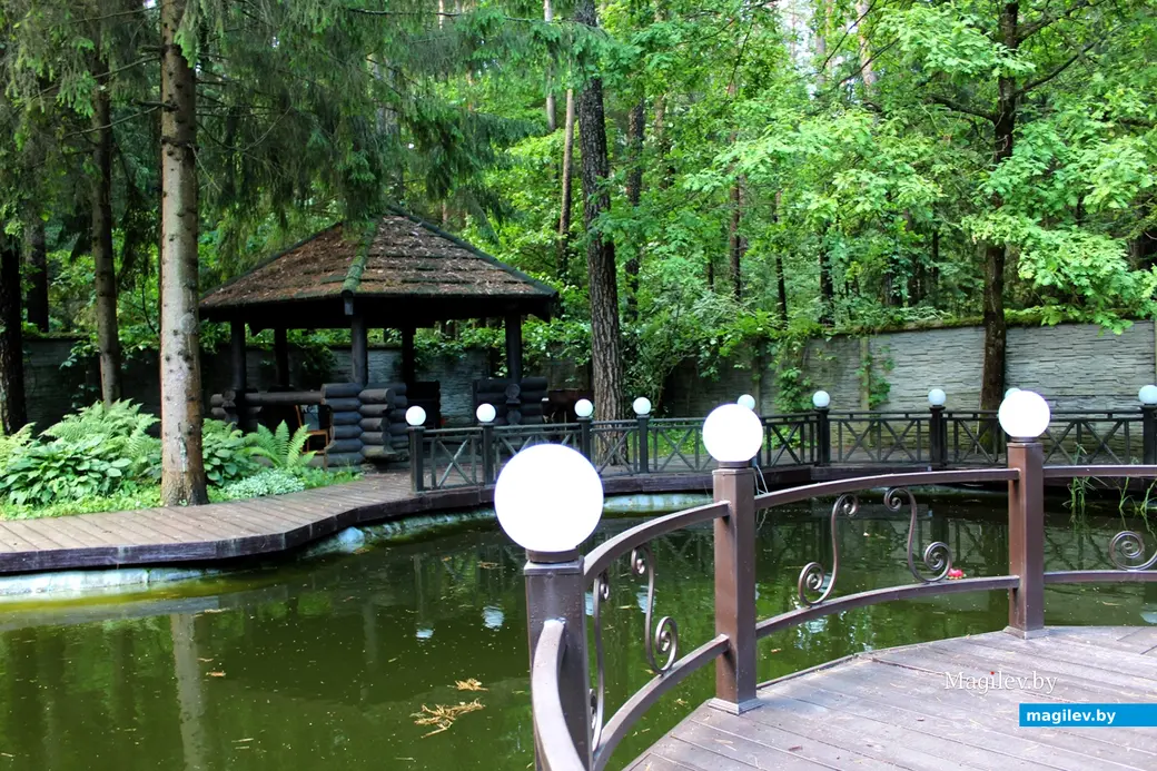 Агроусадьба «Апельсин»: деревня Любуж, хутор «Сосновый бор», д. 14. Июнь 2022 год.