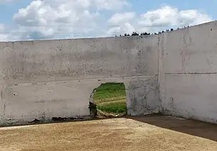 КГК нашел нарушения на сельскохозяйственных предприятиях Могилевской области