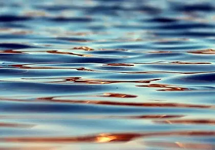 В Быховском районе пенсионер утонул в мелиоративном канале