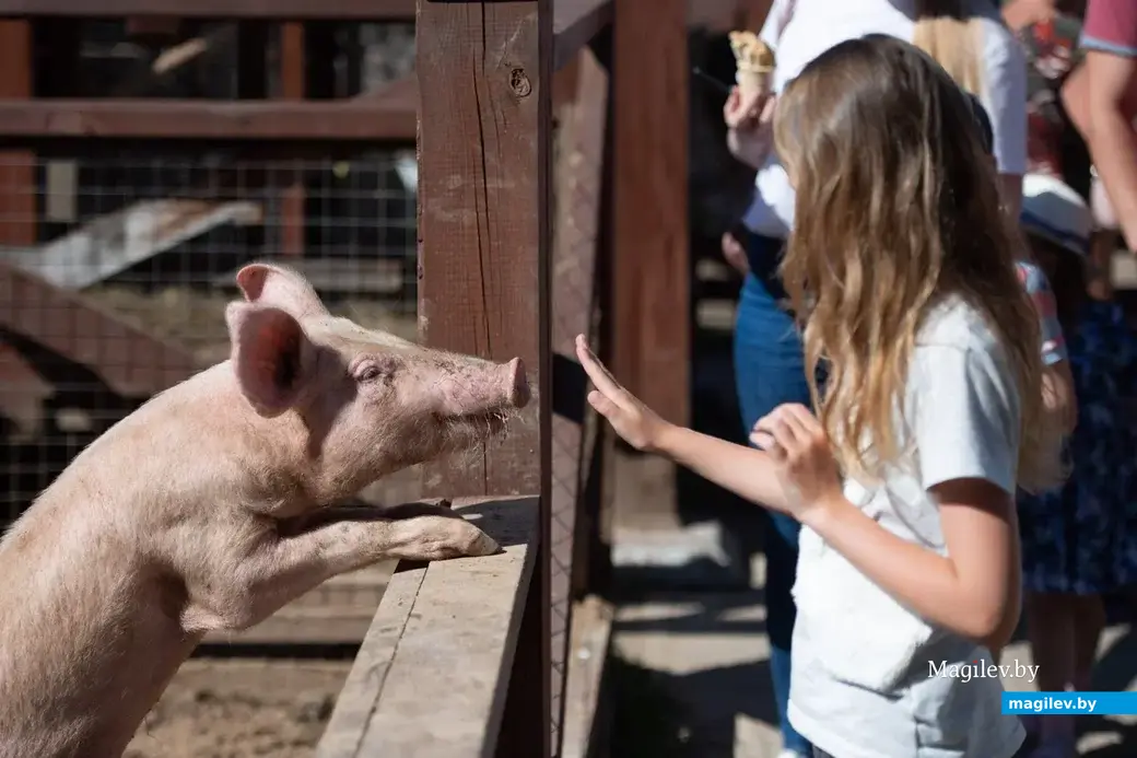 Могилевский зоосад. 23.06.2022 г