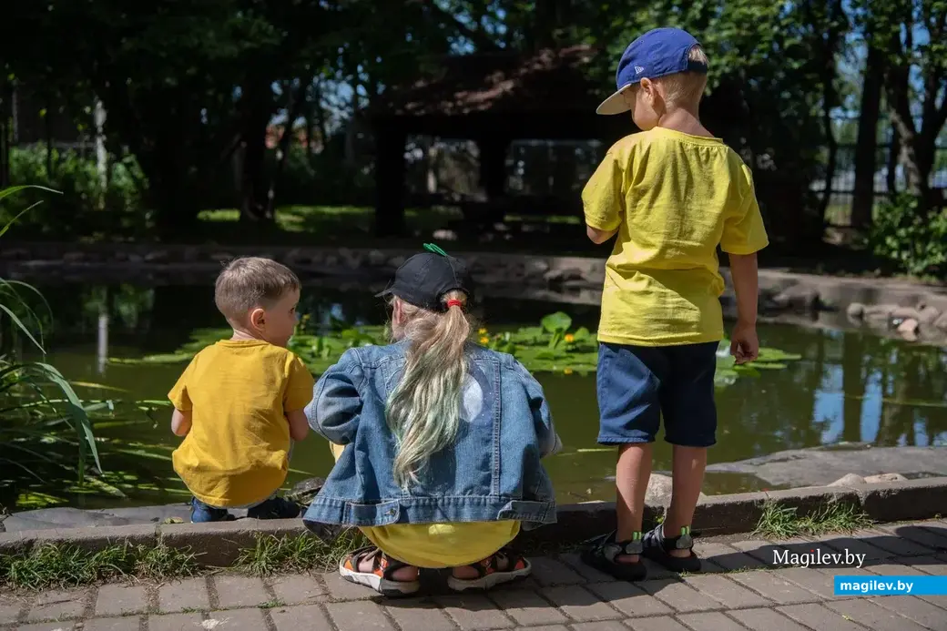 "Черепаховое" озеро. Могилевский зоосад. 23.06.2022 г