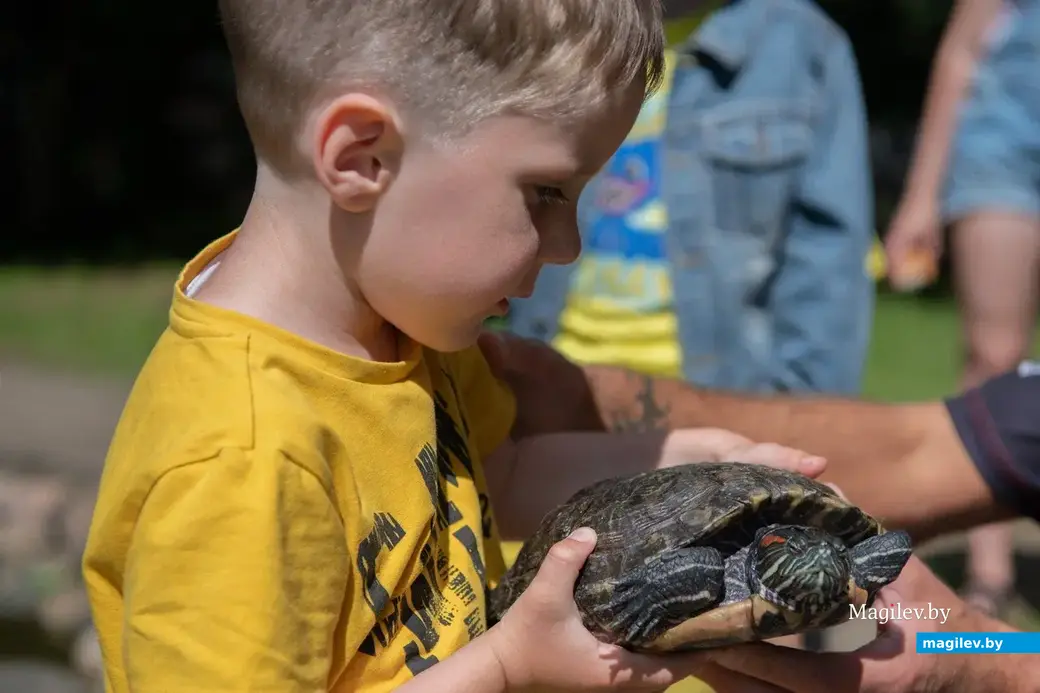 Кто же откажется познакомиться с черепахой? Могилевский зоосад. 23.06.2022 г