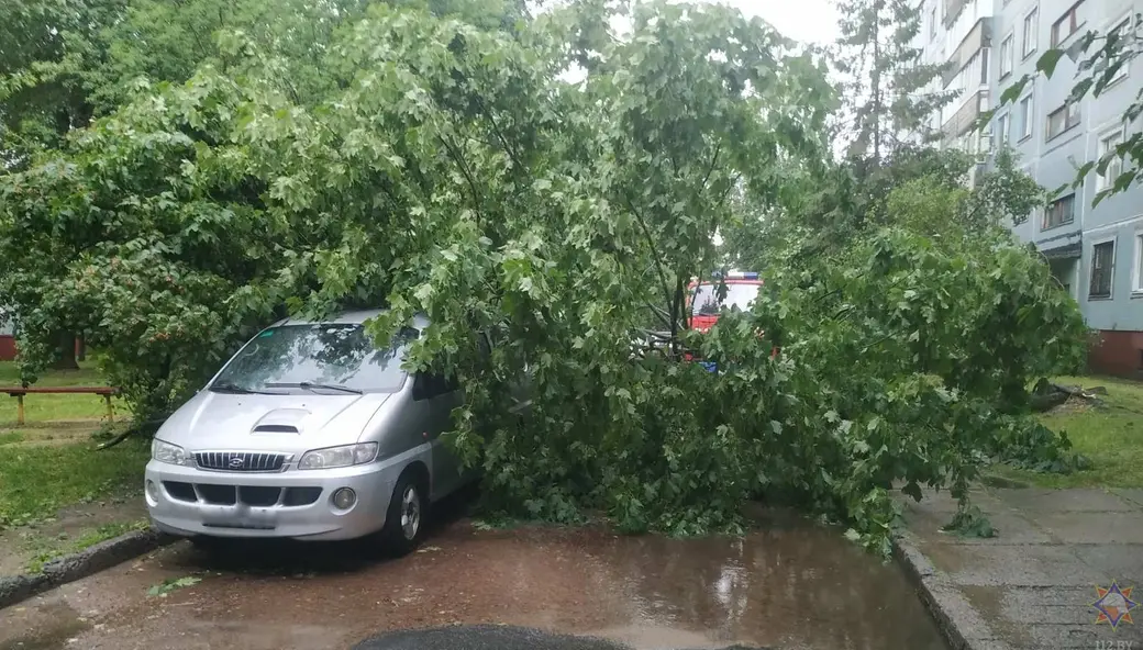 Последствия стихии. Могилев, 29 июня 2022 г