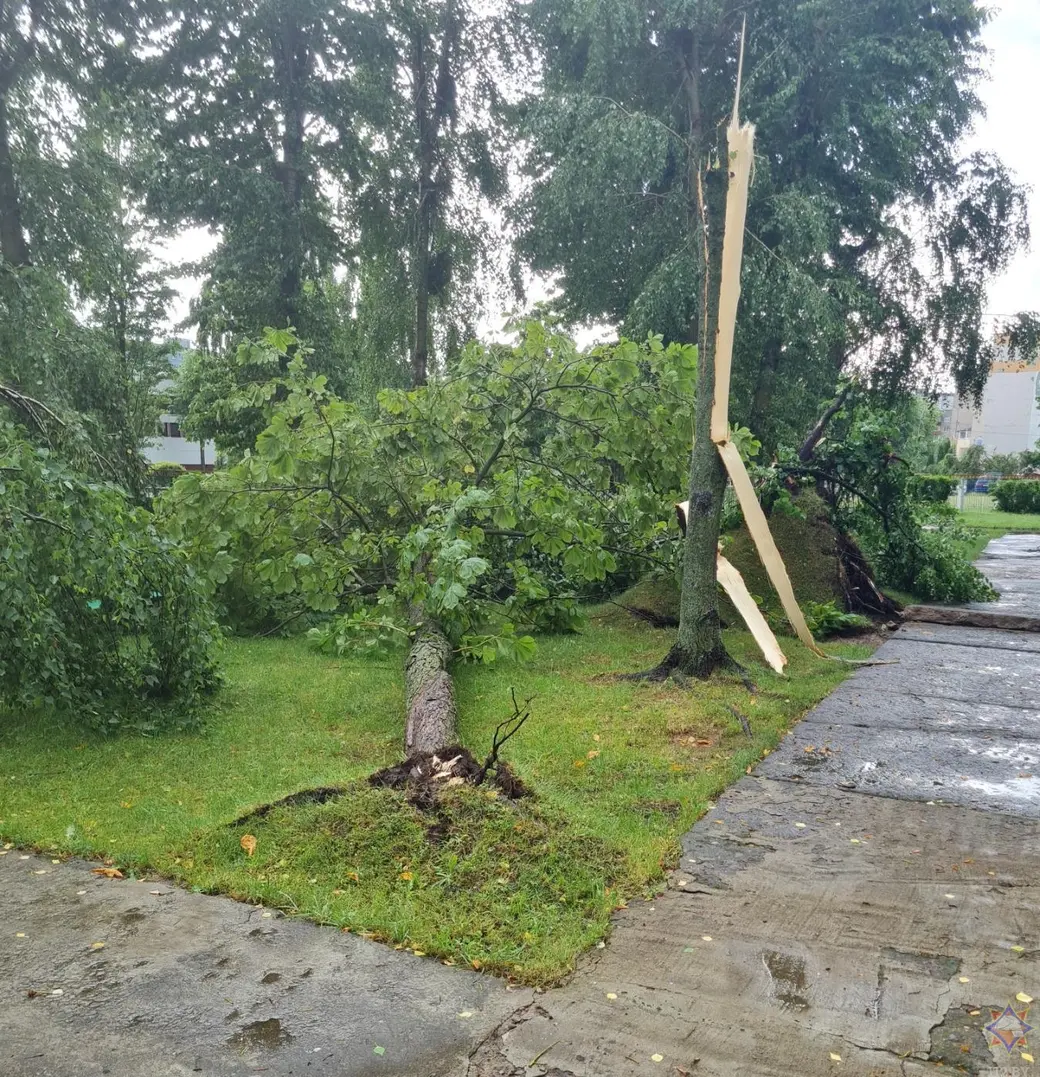 Последствия стихии. Могилев, 29 июня 2022 г