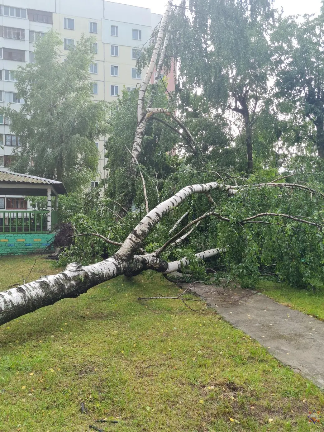 Последствия стихии. Могилев, 29 июня 2022 г