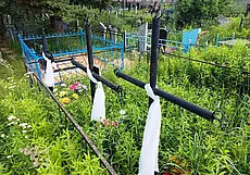 Гребеневское кладбище: родовые усыпальницы цыганских баронов и бурьян в человеческий рост