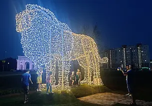 «Лев зачетный! На Симбу похож». На въезде в Могилев появился светодиодный царь зверей