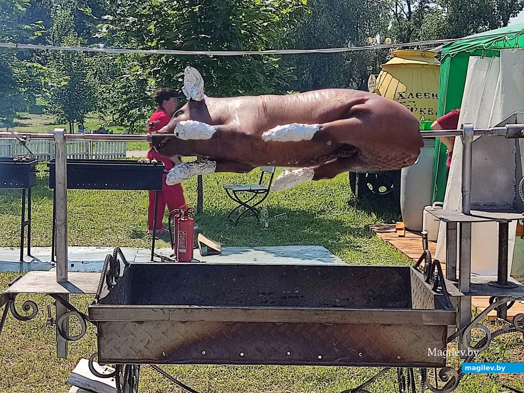 День города, праздник «Мясница». Могилев, 2.06.2022 г.