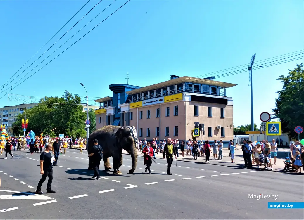 День города. Могилев,02.07.2022 года.