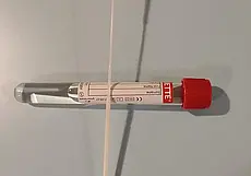 Россия отменила ПЦР-тесты на коронавирус для авиапассажиров из Беларуси