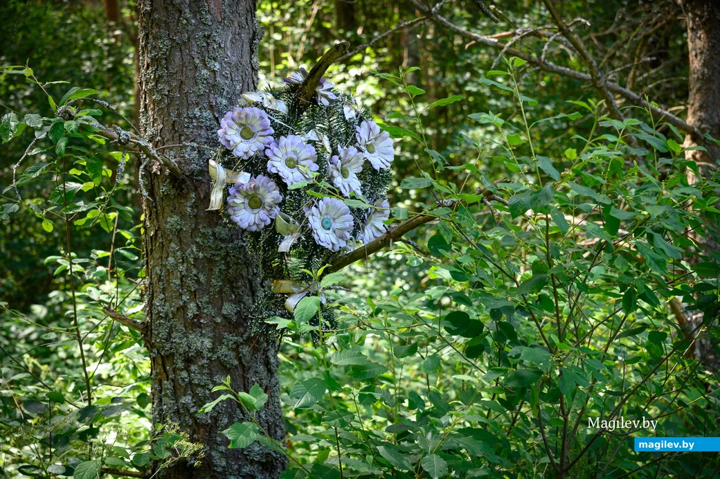 02.07.2022. Глушанский сельский Совет. Жители деревни Евсеевичи Глусского района отправились к