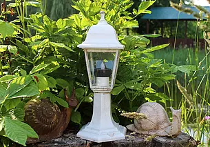 Топ-10 бюджетных агроусадеб в аренду на сутки в Могилевской области