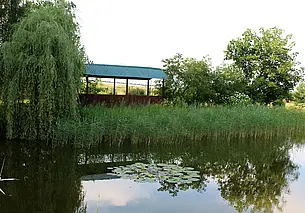 Дождливо. Прогноз погоды на неделю: с 12 по 18 сентября