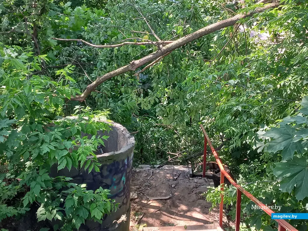 Июль 2022г. Могилев, неподалеку от Дубровенки. Какое-то напоминание или просто стечение обстоятельств?