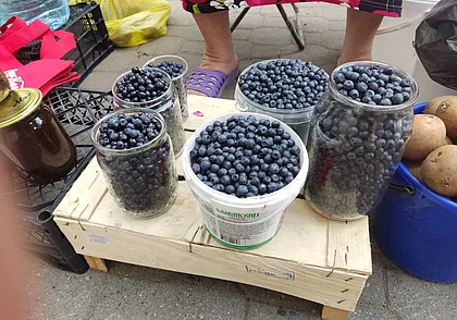 На могилевских рынках появилась черника. Узнали, по какой цене продают и принимают