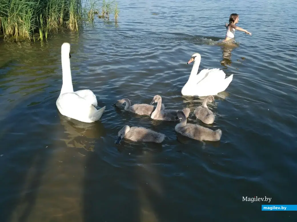 05.07.2022 г. Могилев, Святое озеро