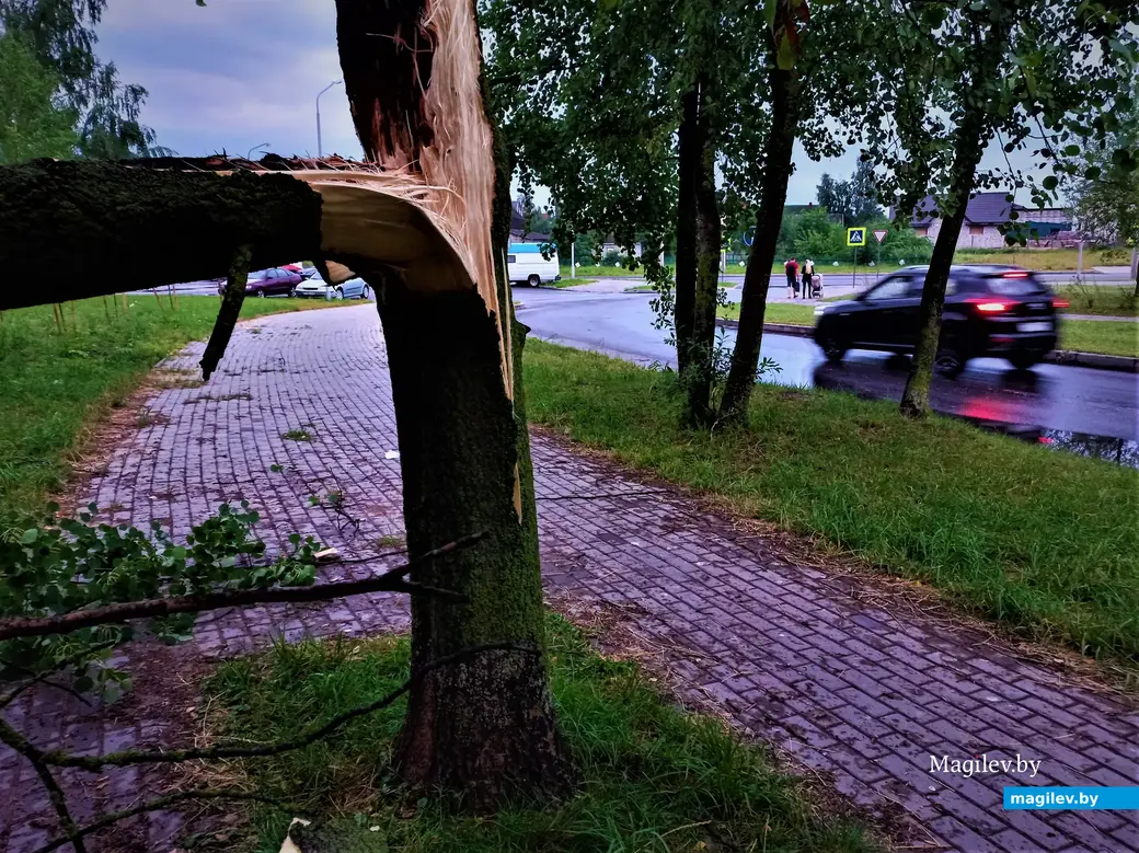 Могилев, микрорайон Казимировка, 06.07.2022 год.