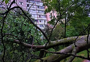 Прогулялся «Шалунишка» по району Казимировка в Могилеве