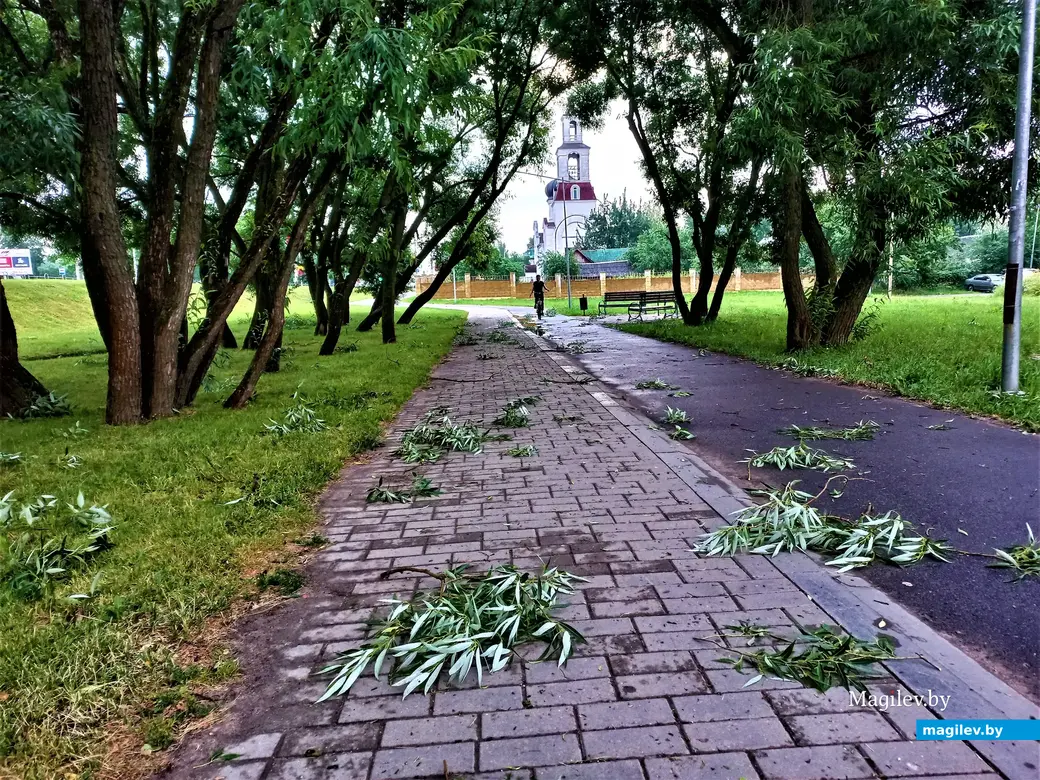 Могилев, микрорайон Казимировка, 06.07.2022 год.
