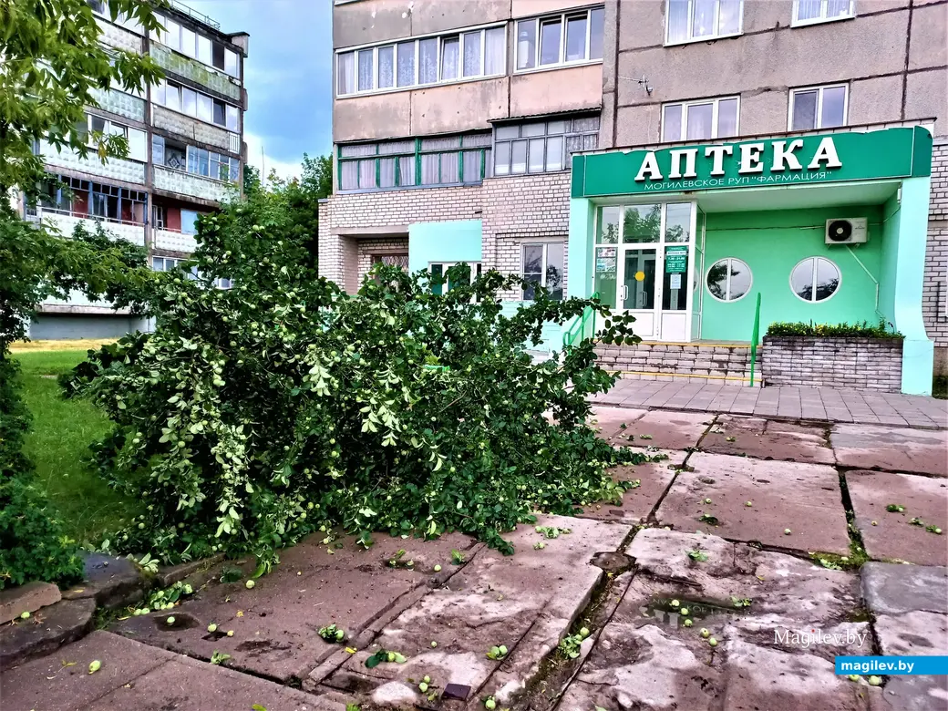 Могилев, микрорайон Казимировка, 06.07.2022 год.