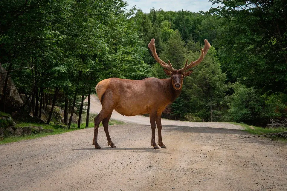 Фото Pixabay.com. Носит иллюстративный характер