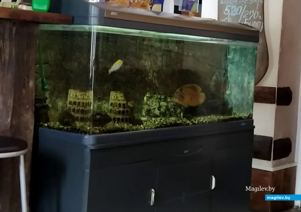 Кафе «Арарат». Могилев, июль, 2022 год.