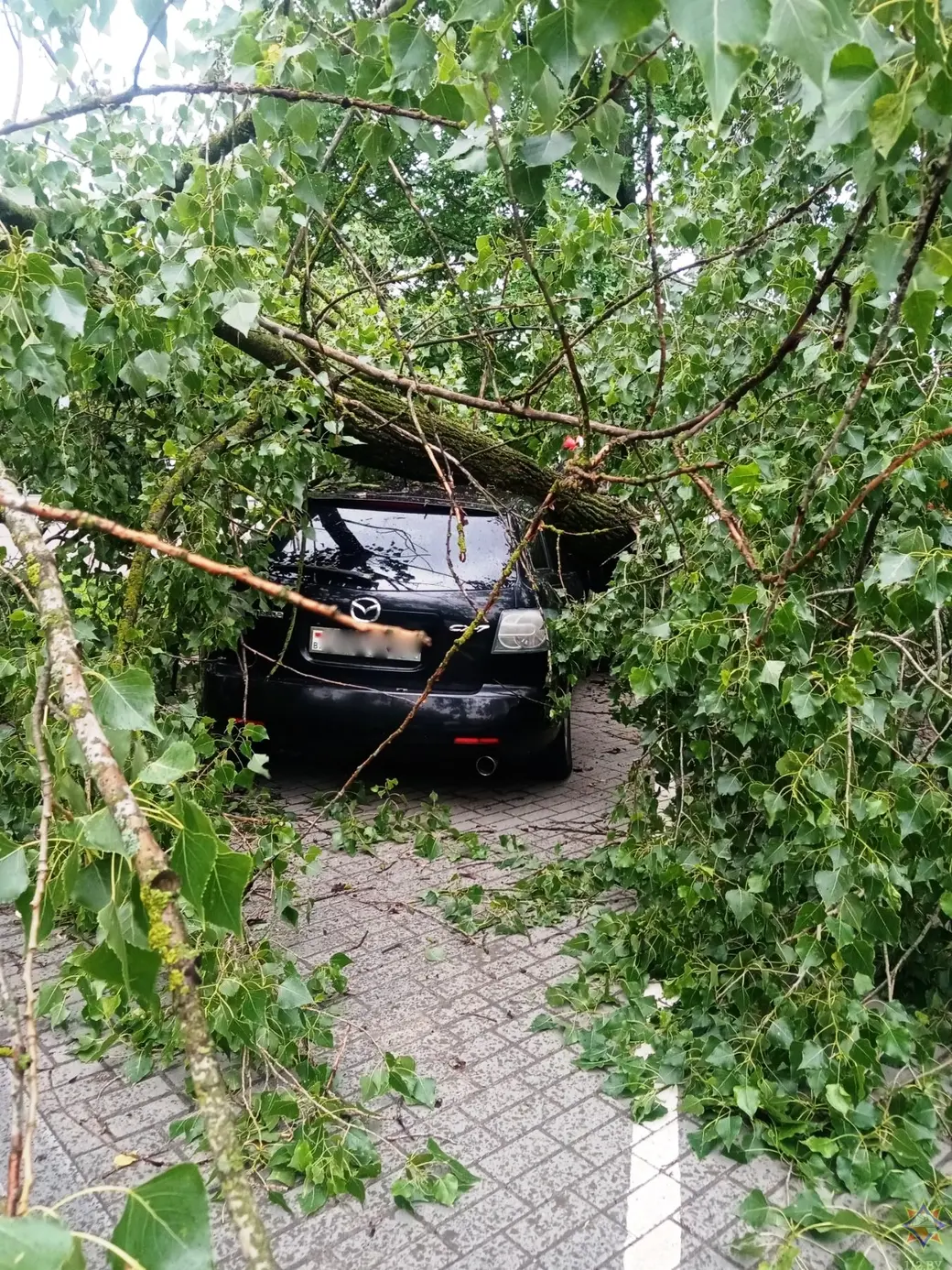 Последствия непогоды в Могилеве. 12.07.2022