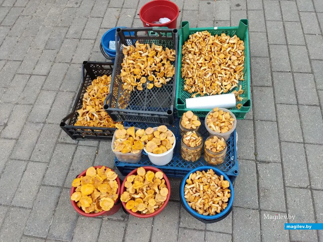 Центральный (Минский) рынок. Могилев. 14.07.2022 г.