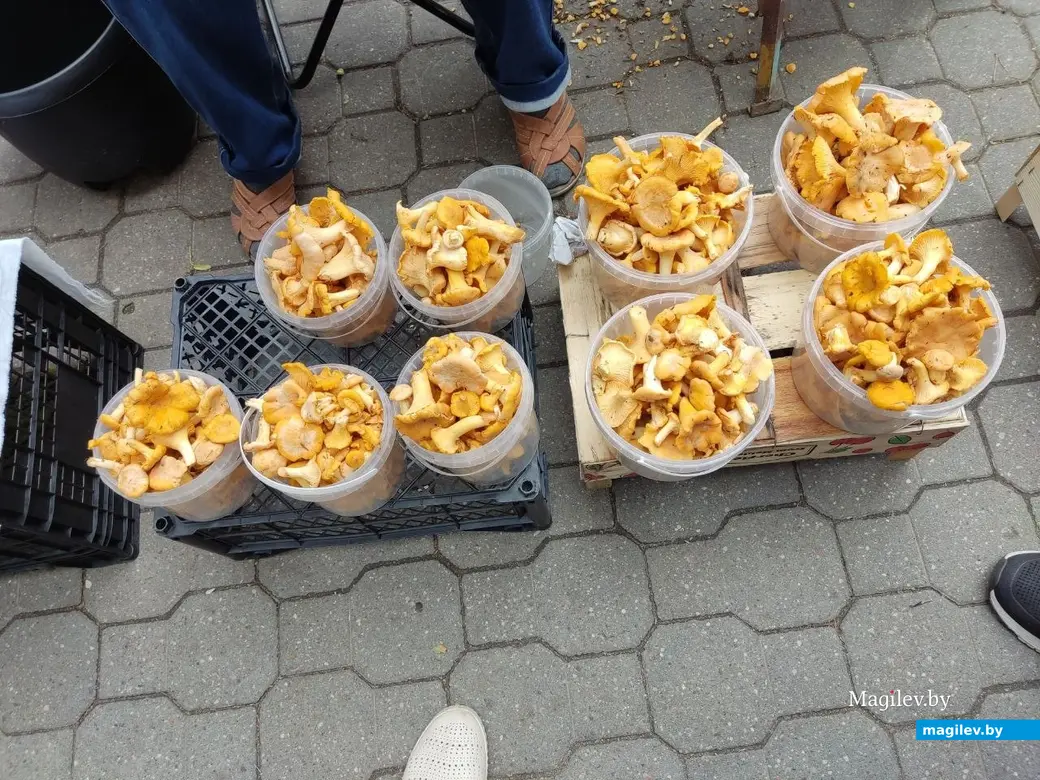 Привокзальный рынок. Могилев. 14.07.2022 г.