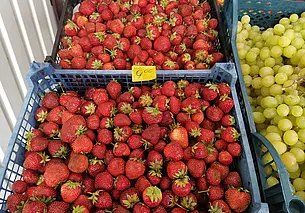 Что почем? Почему так и не подешевела клубника в Могилеве