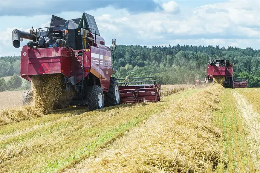 Фото Галины Гаврилович, сайт Могилевского облисполкома