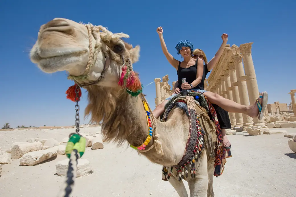 Сели на верблюда в Египте – заплатите, чтобы с него слезть. Как обманывают  туристов в разных странах | magilev.by