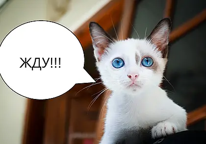 Подписывайтесь на наш телеграм-канал: там много интересного