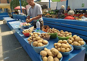 Что почем? Изучили цены на молодой картофель и свежие огурцы в Могилеве перед выходными