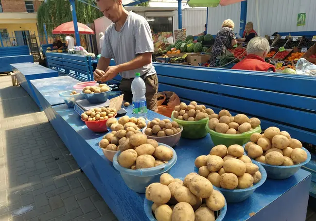 Что почем? Изучили цены на молодой картофель и свежие огурцы в Могилеве перед выходными