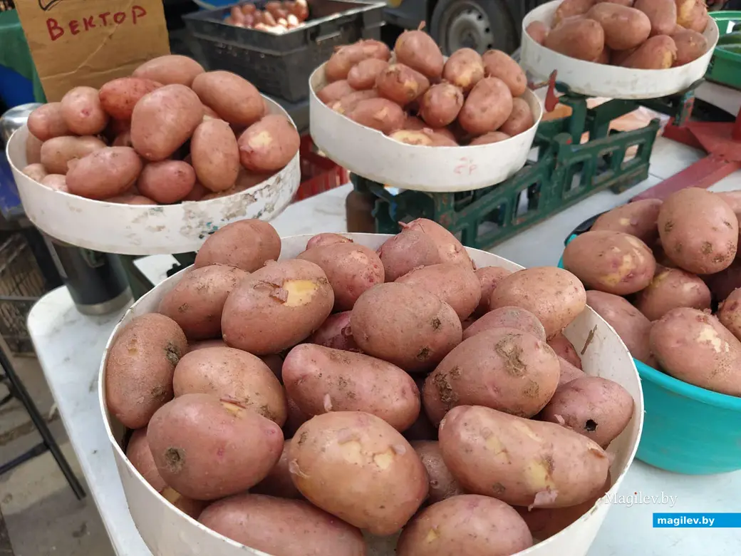 Рынок по улице Островского. Фермерский картофель. Июль 2022 года.