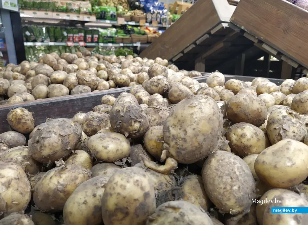 Торговый центр Грин по улице Островского. Могилев, июль, 2022 год.