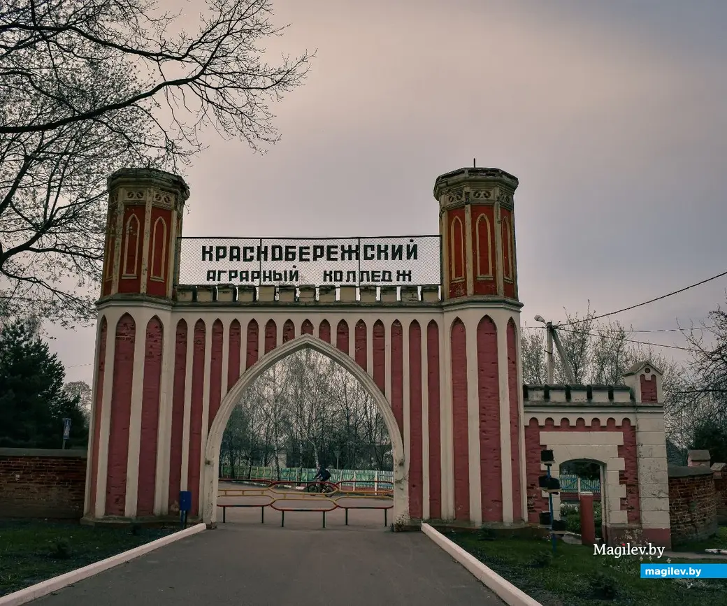 В усадьбу Толстых езжу прогуляться и попить кофе!» Эксперт-психиатр из  Могилева – о своих путешествиях | magilev.by