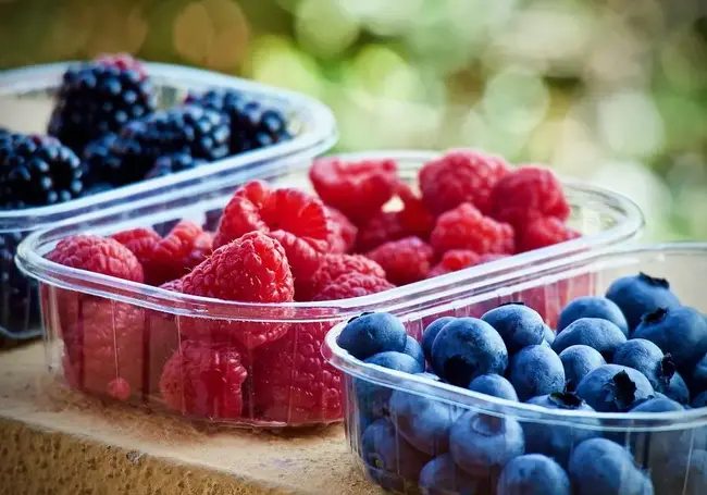 В Беларуси ввели новый налог за сбор ягод и грибов